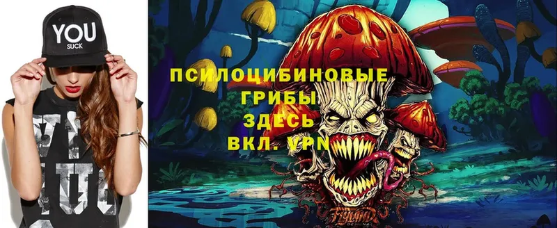 Галлюциногенные грибы Psilocybine cubensis  закладки  Касимов 